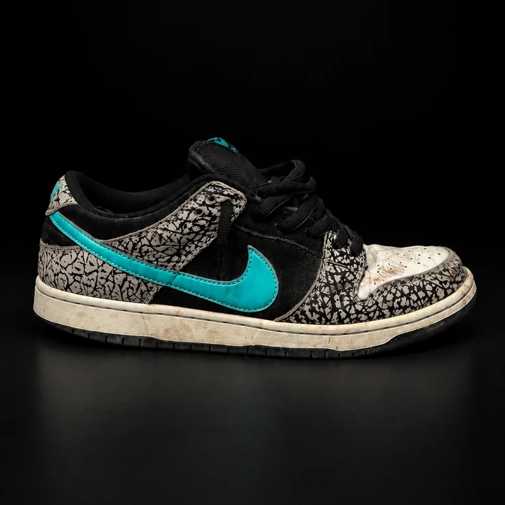 Nike SB Dunk Low prima del trattamento